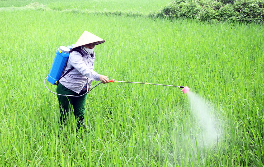 Well, I didn't vote for you.
